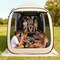 Beige 300D Oxford Pop Up Screen Tent 4-6 Person Instant Canopy